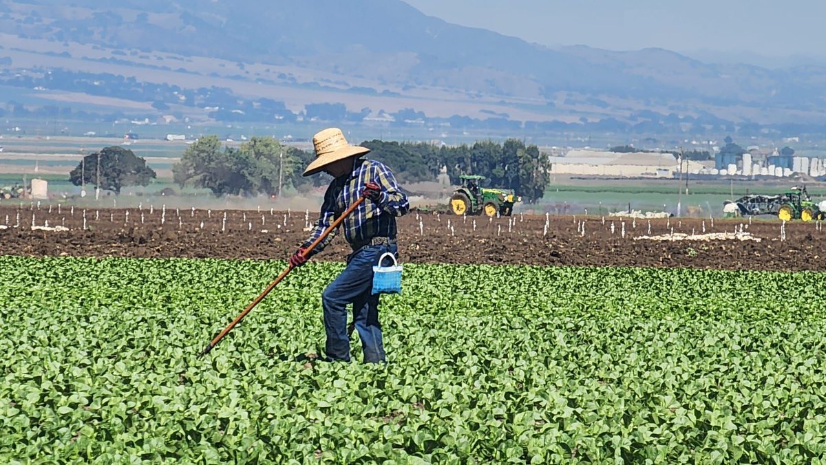 United Farm Workers tweet media