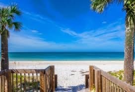 Brian Librach tweet media