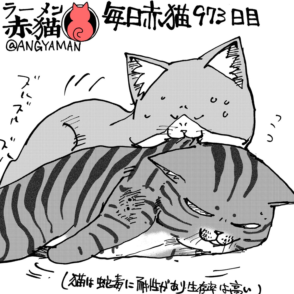 運ぶのも大変
#ラーメン赤猫 #ジャンププラス
117杯目 https://t.co/eI9NlhHptD 