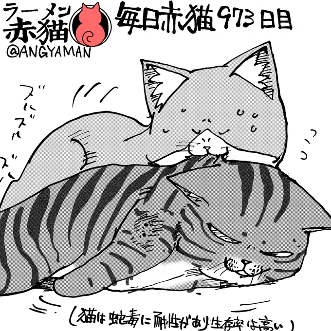 運ぶのも大変
#ラーメン赤猫 #ジャンププラス
117杯目 https://t.co/eI9NlhHptD 