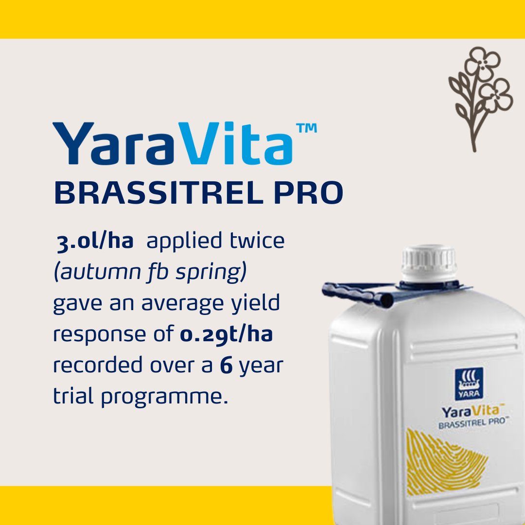Yara_UK's tweet photo. When is the right time to apply Brassitrel Pro?⏰Applying 3.0l/ha twice (autumn followed by spring) has shown an average yield response of 0.29t/ha over six years! Swipe to see the ideal timing for your autumn application: the four true leaf stage.🌱

🔗https://t.co/qx1tzeCg9A https://t.co/pfPo5h4d9m