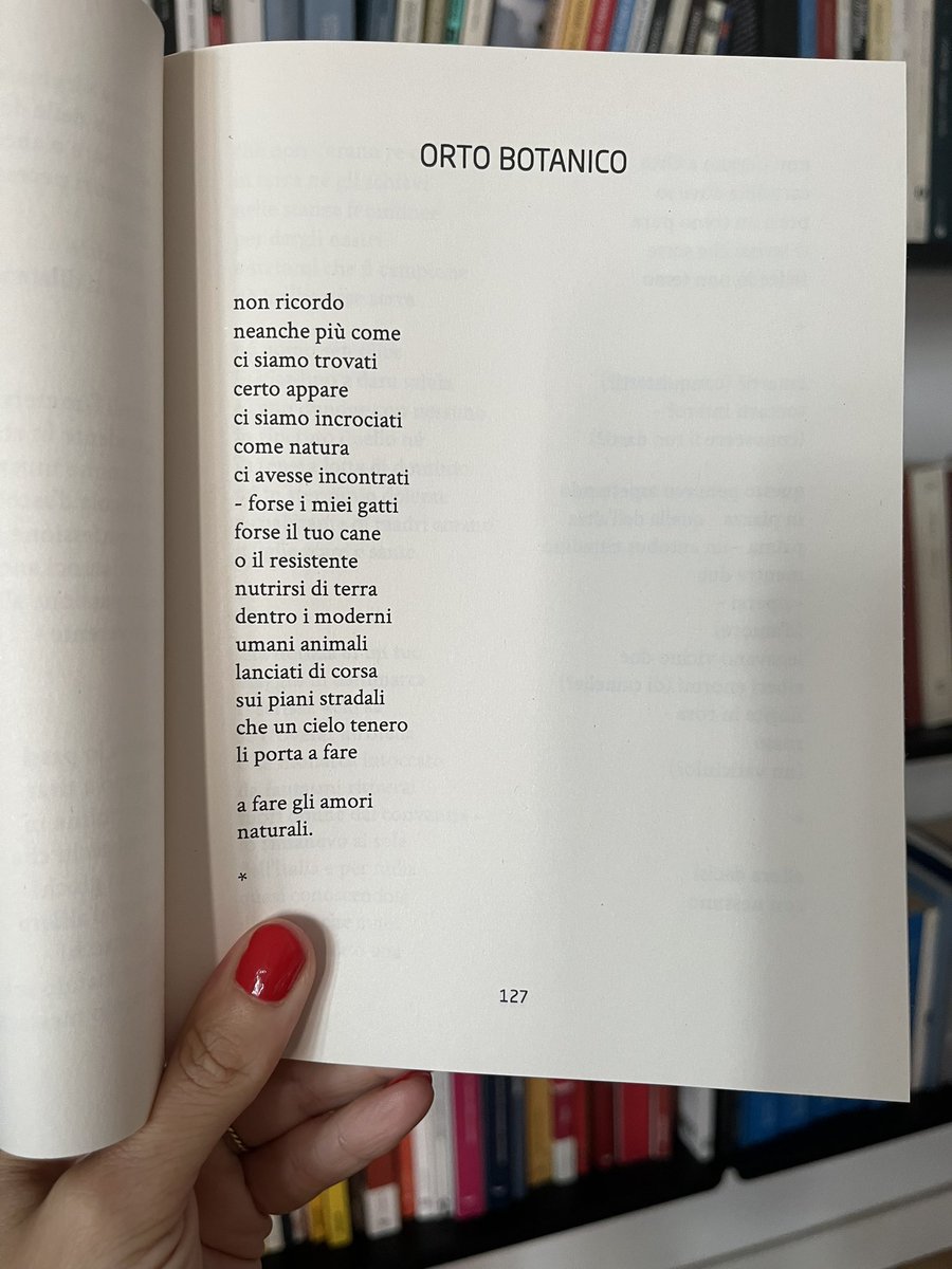 certo appare
ci siamo incrociati 
come natura
ci avesse incontrati

Anna Cascella Luciani, Antologia poetica