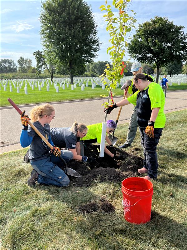 HennepinEnviro's tweet image. Thirty-one trees were planted at Fort Snelling Cemetery on Wednesday at the 10th annual Saluting Branches day of service. County forestry provided the trees and led over 100 volunteers to plant them. 

#HennepinCounty #TreeEducation #TreePlanting #SalutingBranches