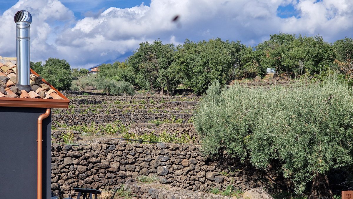 Het schijnt dat de #Etna achter die bomen ligt, maar iemand heeft er wolken voor gehangen. Morgen weten we meer en gaan we naar 3000m op een actieve #vulkaan...
#Sicilia #vakantie