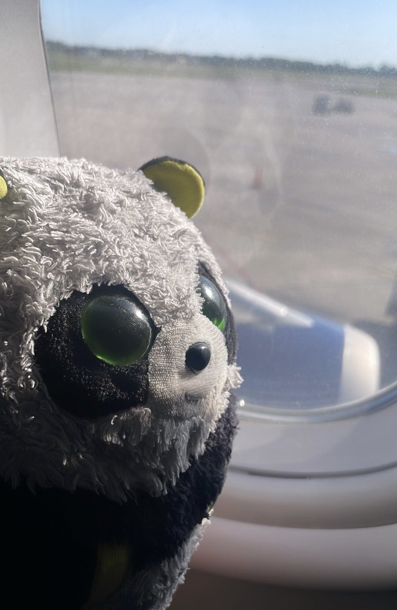 MrPandaJPanda's tweet photo. It’s a great day to travel! 
#TravelingBear #Panda #Delta #SkyMilesLife #VIP #VeryImportantPanda ✈️🐼 https://t.co/oUKVFnTrUj