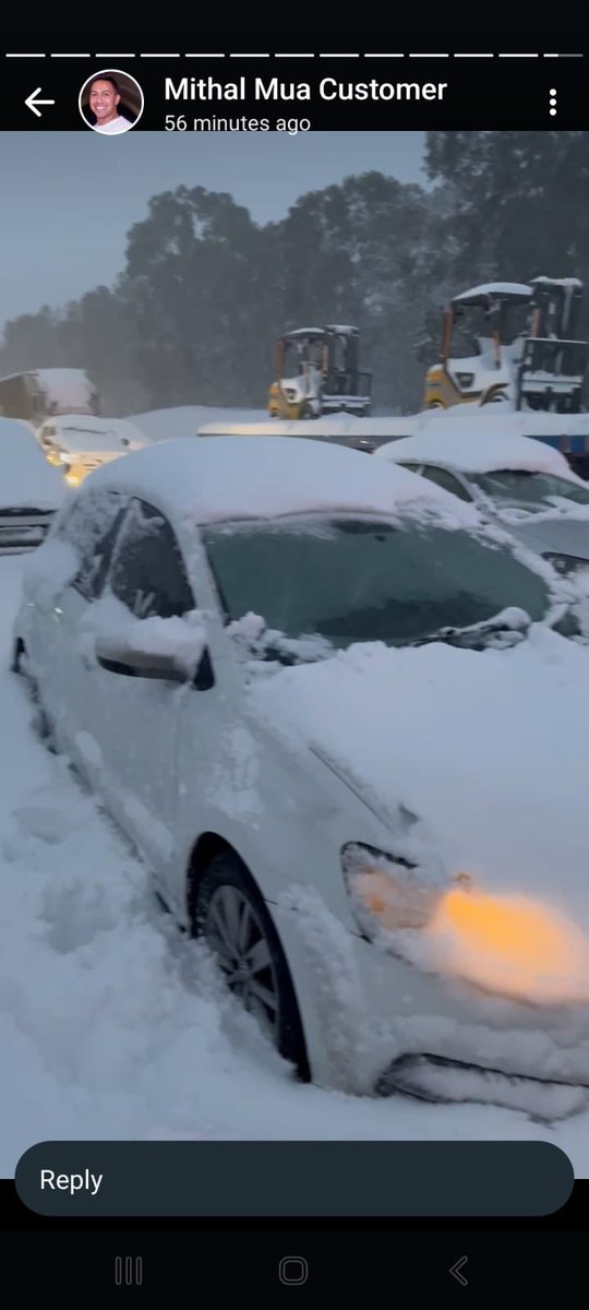 sheeka patak tweet media