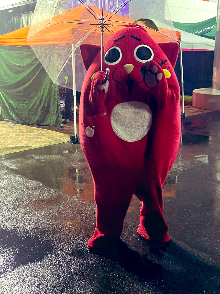 mikapon019's tweet photo. 雨降って寒かったりしたけど💦楽しかった😄にゃんご、にゃん友さん、今日もありがとう🥰
#にゃんごすたー
#Nyangostar
#青森県八戸市
#青森県黒石市
#PRASTA MUSIC FES 2024
#プライフーズスタジアム https://t.co/JXSBy2mlIg