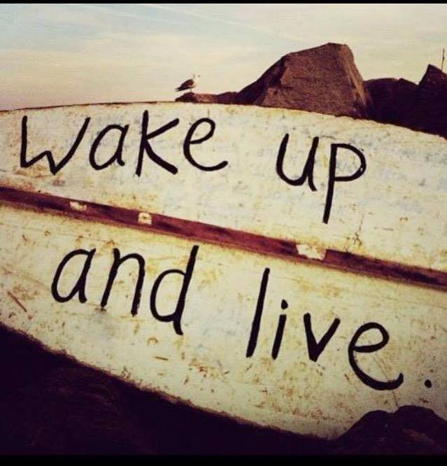 IAYAALIS's tweet image. I Am... AWAKE!
- are You?
🌟🧐🌟
IAYAALIS = I Am You Are And Love IS...!
IAYAALIS.com
✨💖🖖🏽💖✨
In Love, We Thrive…
LIVE LOVE – LOVE LIFE
* Eternal Supernal *
- IAYAALIS / The MDMO / Higher Love Doctor