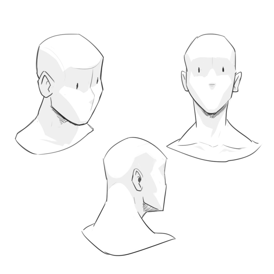 J.S.Linares🐙 tweet media