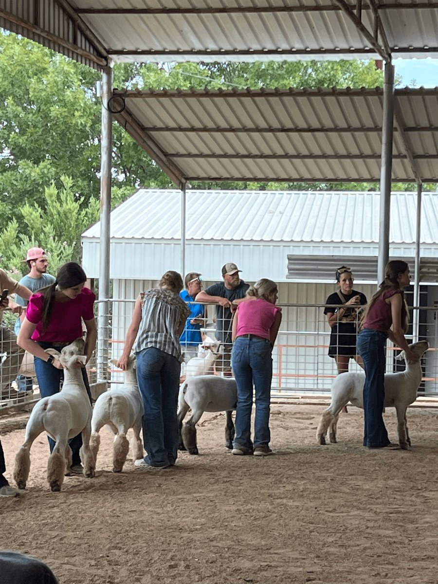 Georgetown FFA tweet media