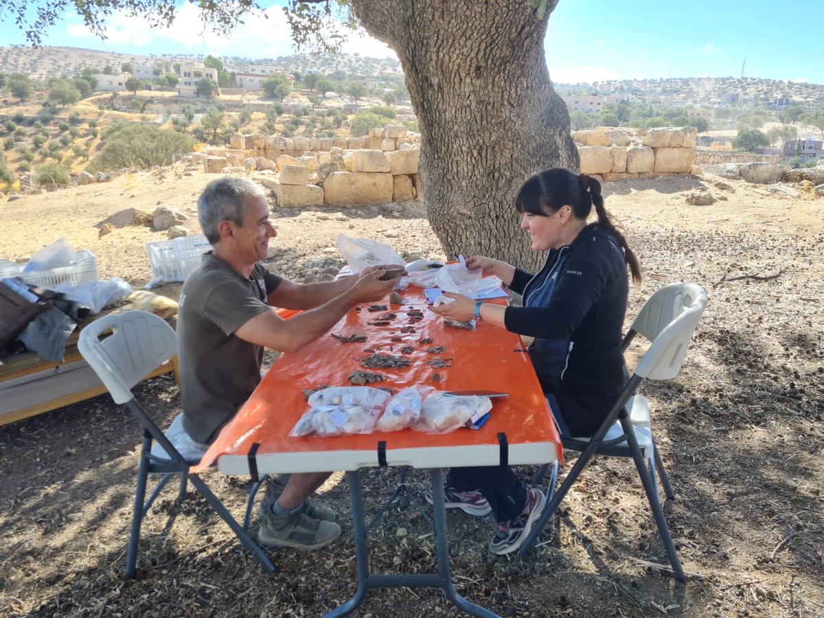 Proyecto Arqueológico Kharaysin tweet media