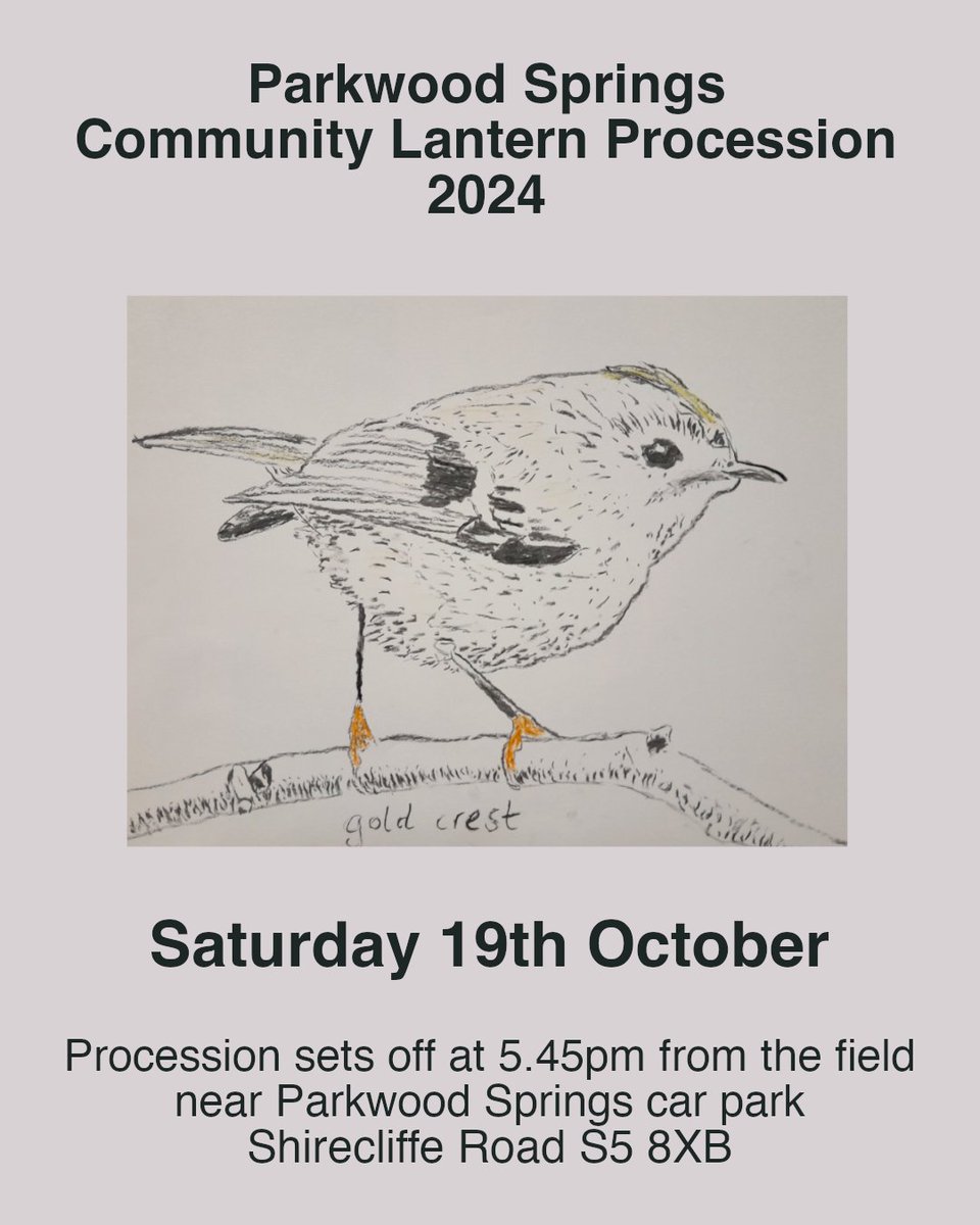 SOAR 🍊 tweet media