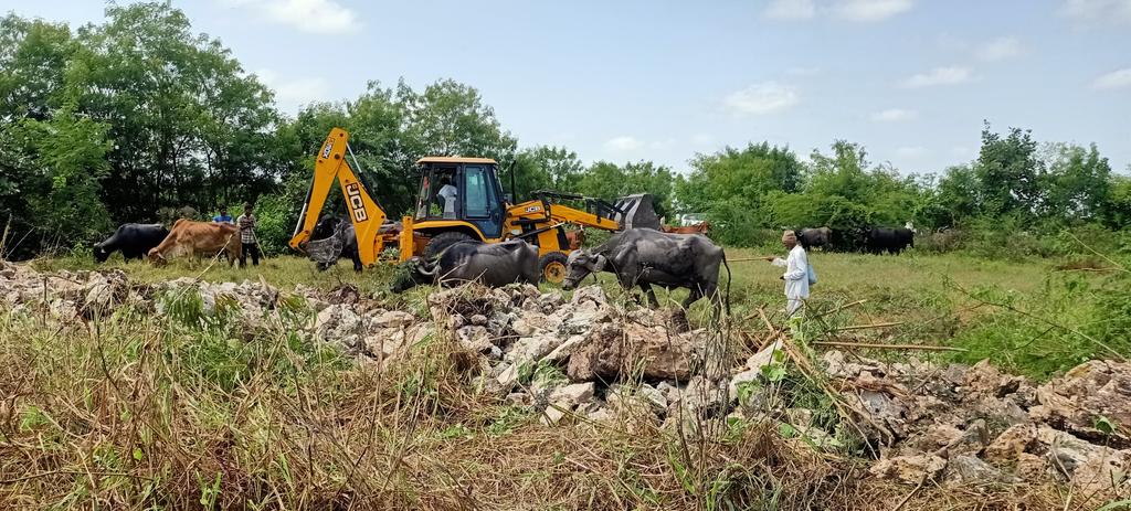 ગીર ગઢડા તાલુકાના વડવિયાળા ગામે ગૌચરની જમીન ઉપર અંદાજે ૧,૪૫,૦૦૦ ચો.મી.જમીન જેની અંદાજિત બજાર કિંમત ૯,૯૦,૦૦,૦૦૦/- ની કિંમતની ગૌચરની જમીન ખુલ્લી કરવામાં આવી.આમ,૨ દિવસમાં કુલ ૨,૩૫,૦૦૦ ચો.મી.જમીન જેની કિંમત ૧૬,૫૦,૦૦,૦૦૦/- ની ગૌચરની જમીન ખુલ્લી કરવામાં આવી.
#Encroachmentremoval