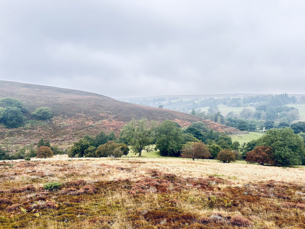 All back safe! Showers in sight 👀
Most of our photos are like this until our participants send them through…