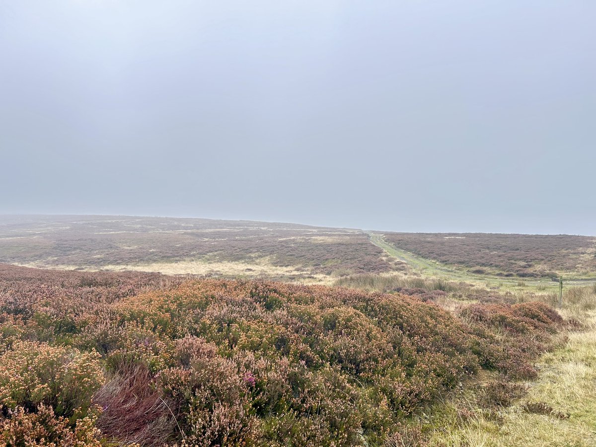 All groups have survived Great Hograh Moor and are onto the Esk Valley walk. 
Some difficult navigation today (even without the fog!)
We’re very proud of everyone’s effort so far #DofE #SilverExpedition