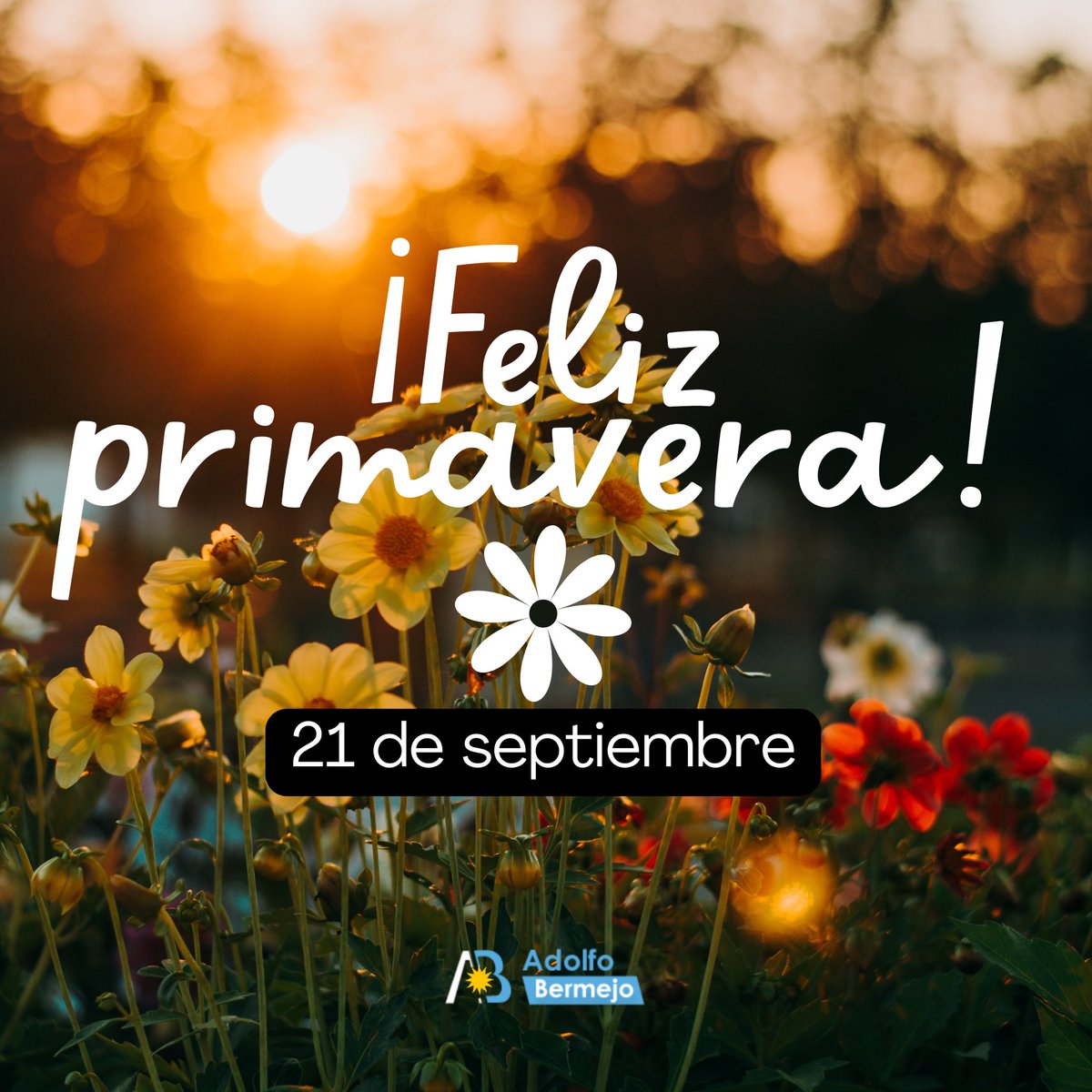 🌻• Llegó la primavera, la mejor época del año. Tiempo de renovar energías, disfrutar del buen clima y conectarse con la naturaleza.