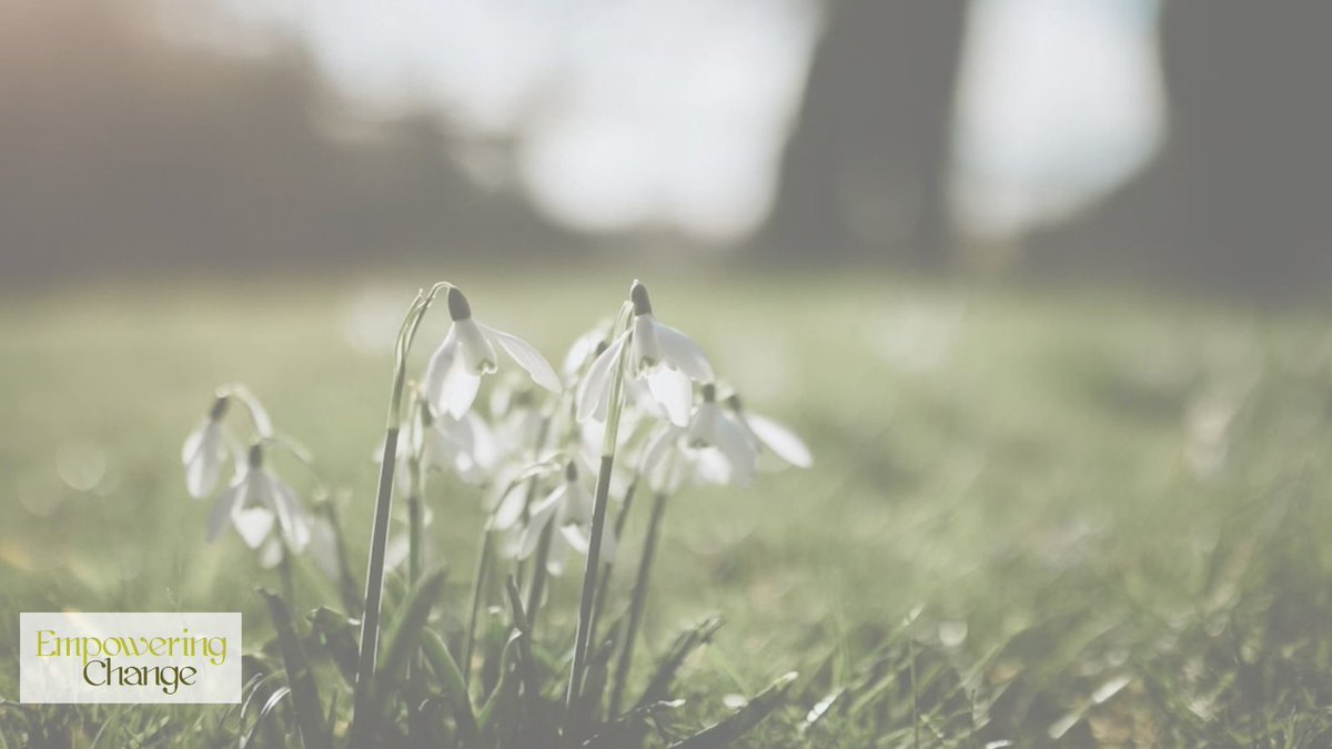 empoweringchnge's tweet image. If it’s been a while since you’ve explored The Artist’s Way, why not give it another go? 

Got questions? Join our information session or drop me a message!

Join the Call tomorrow, 22 Sep! buff.ly/47BaT2U

#TheArtistsWay #CreativeJourney #WriteForLife #EmpoweringChange