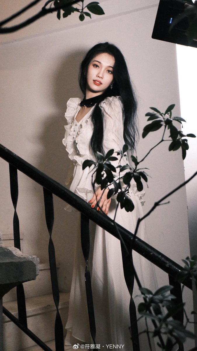 fu yaning archives tweet media