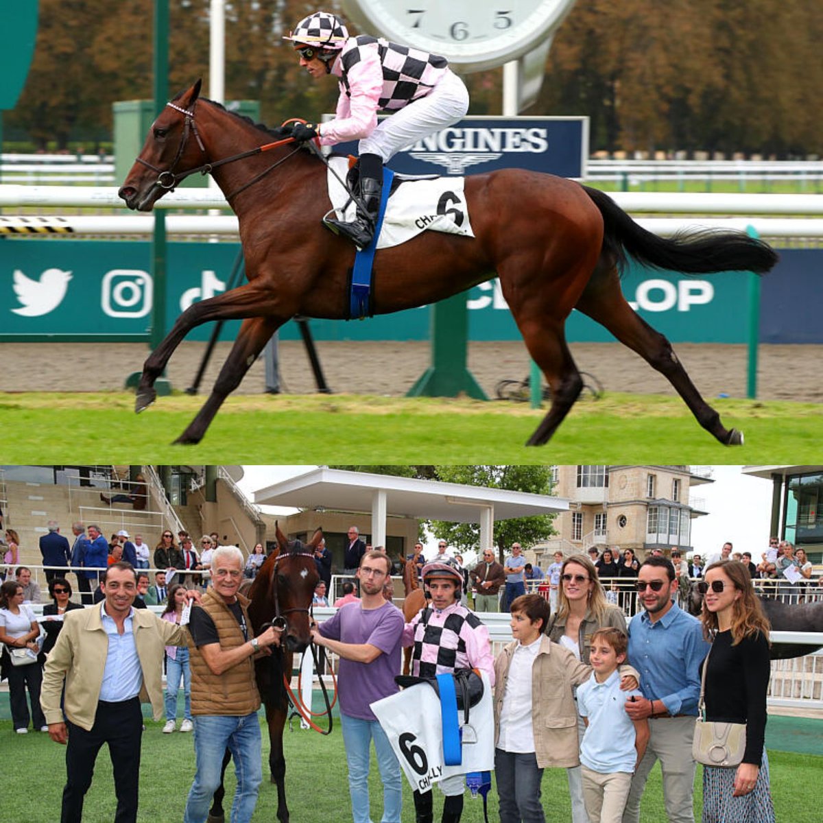 C&Y Lerner (@cylerner) on Twitter photo Blue Island s'impose pour ses premiers pas a Chantilly dans le Prix de Toutevoie sous les couleurs de @ecuriedescharmes et la selle de @ronan_thomas01. Félicitations à toute l'équipe @aprhchantilly <a href="/Haras_d_Etreham/">Haras d'Etreham</a> Blue Island s'impose pour ses premiers pas a Chantilly dans le Prix de Toutevoie sous les couleurs de @ecuriedescharmes et la selle de @ronan_thomas01. Félicitations à toute l'équipe @aprhchantilly <a href="/Haras_d_Etreham/">Haras d'Etreham</a>