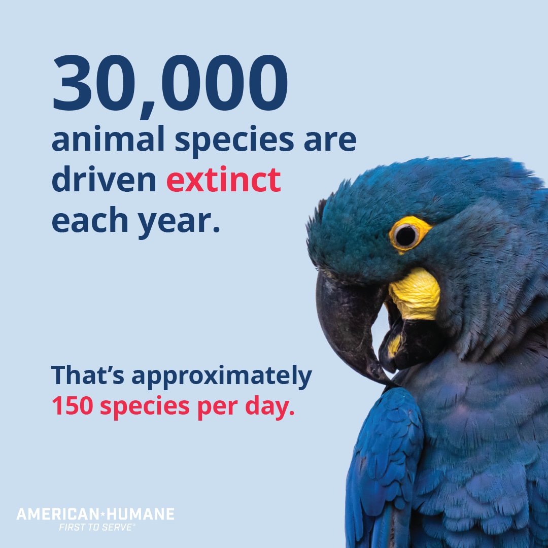 Escape From Extinction tweet media