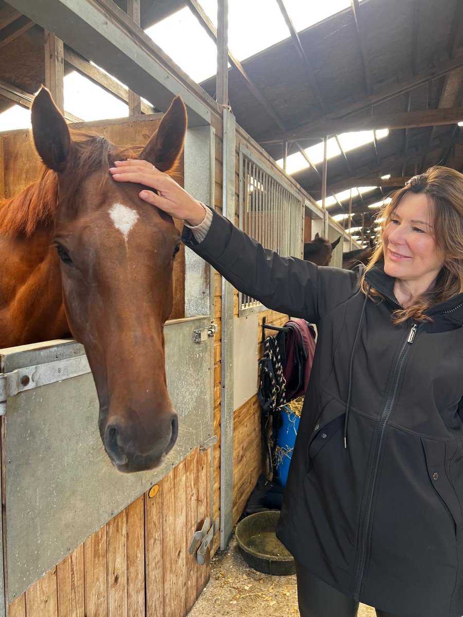 Forever William ran beyond expectations finishing a close 3rd at Newton Abbot yesterday. Despite needing the race and carrying a belly, he made the running, and nearly held on. Beaten a couple of lengths by a well handicapped horse, that was a perfect prep for the Silver Trophy.