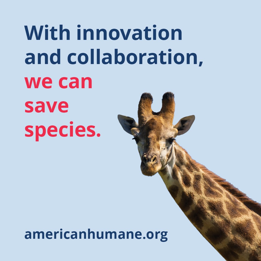 Escape From Extinction tweet media