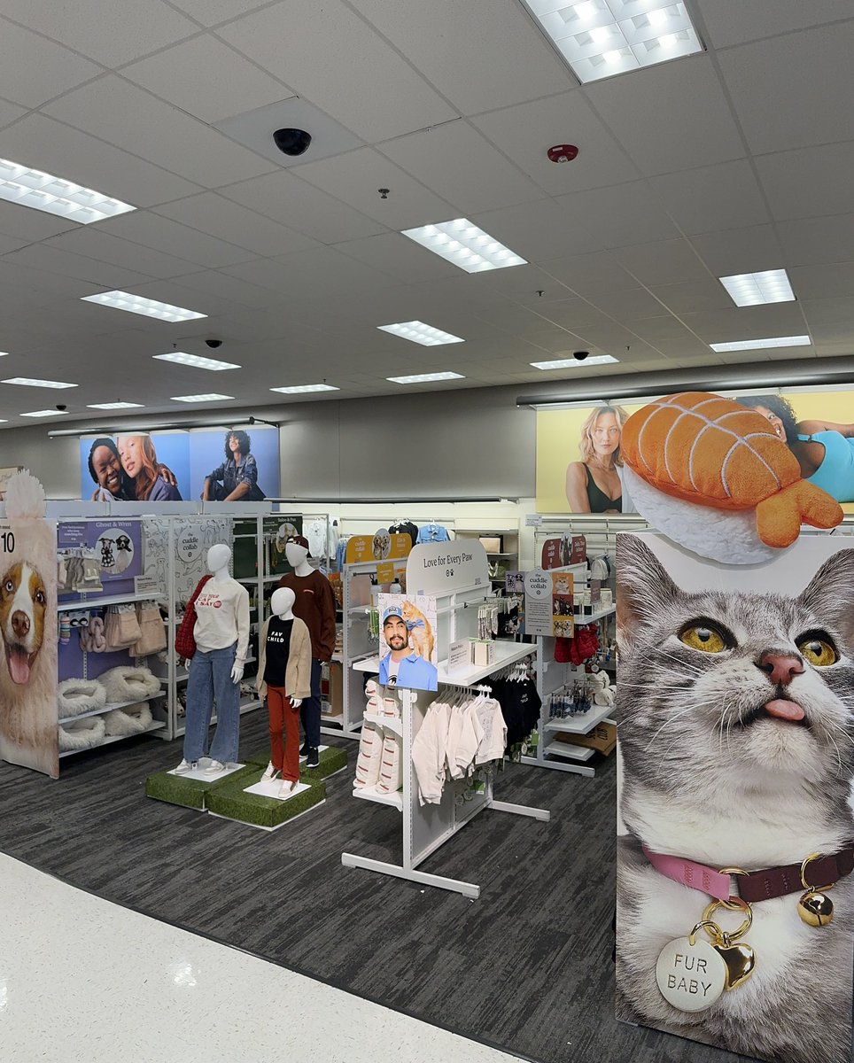 LindsayTarget's tweet image. CuddleClubXTarget Collection is here! Featuring our fur-influencers favorite goodies and a few things for the humans who love them too 😉 Fetch all these items at Target near you! Also thank you to TM Taylor for all your help with this set! We sure had a ball 🎾