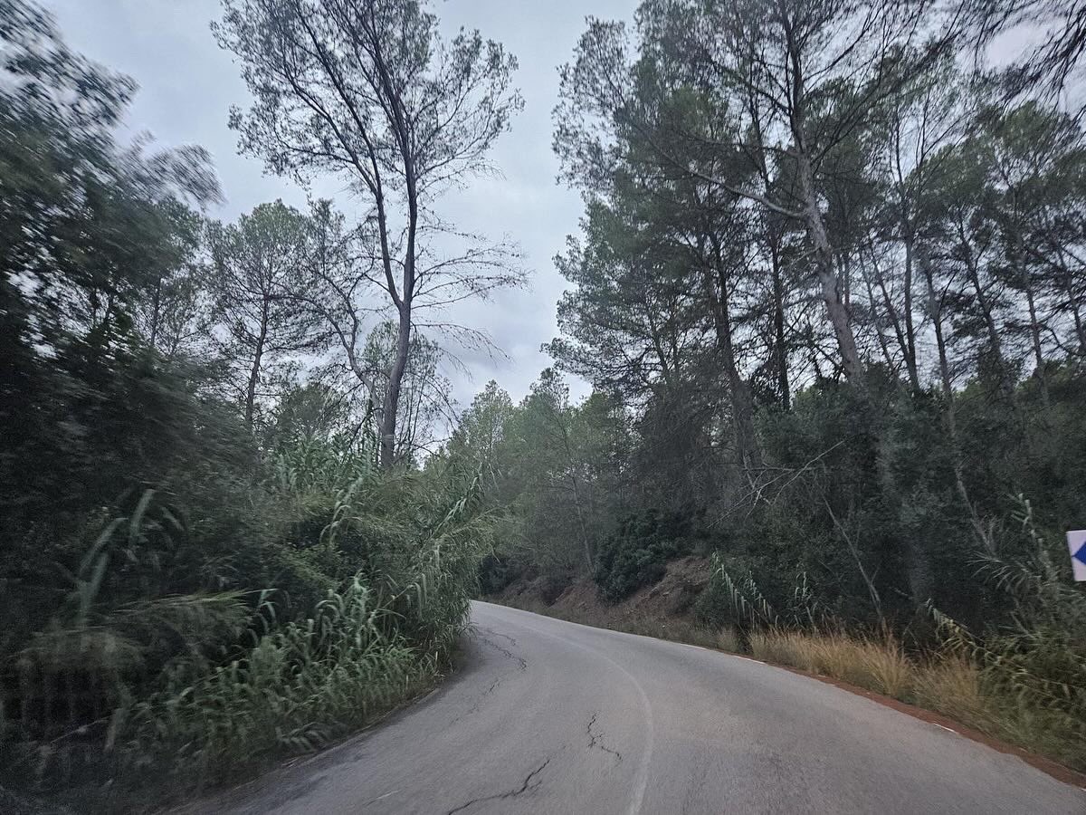 femsantandreu's tweet photo. 👷‍♀️El Govern de Fem Sant Andreu demanarà que la Diputació de Barcelona es faci càrrec del manteniment de la carretera que connecta Sant Andreu a Corbera.

#FemCiutat
#SantAndreudelaBarca
#FemSantAndreu https://t.co/flPoirPWlI