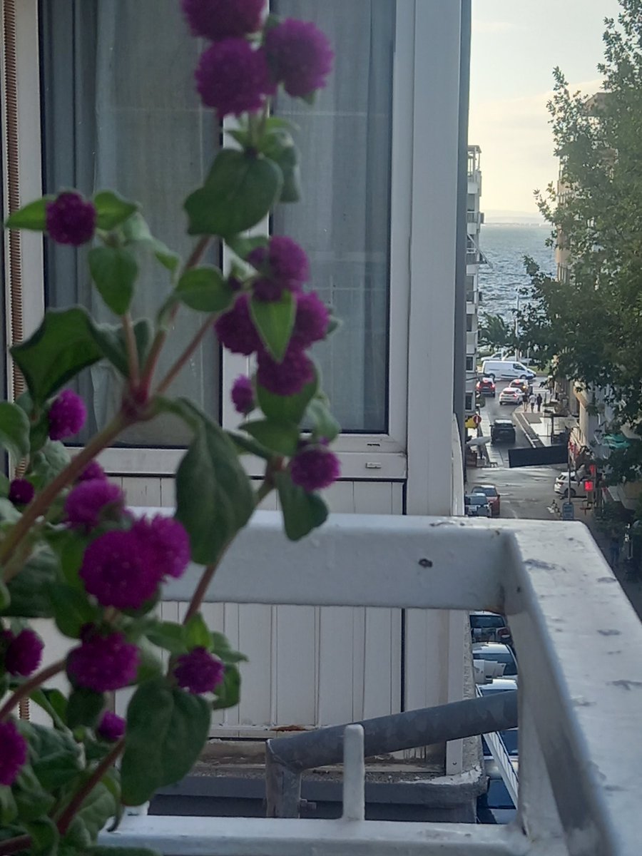 fusun699's tweet photo. Her daim...Aşkla...🥰 https://t.co/yizYeG0QUw