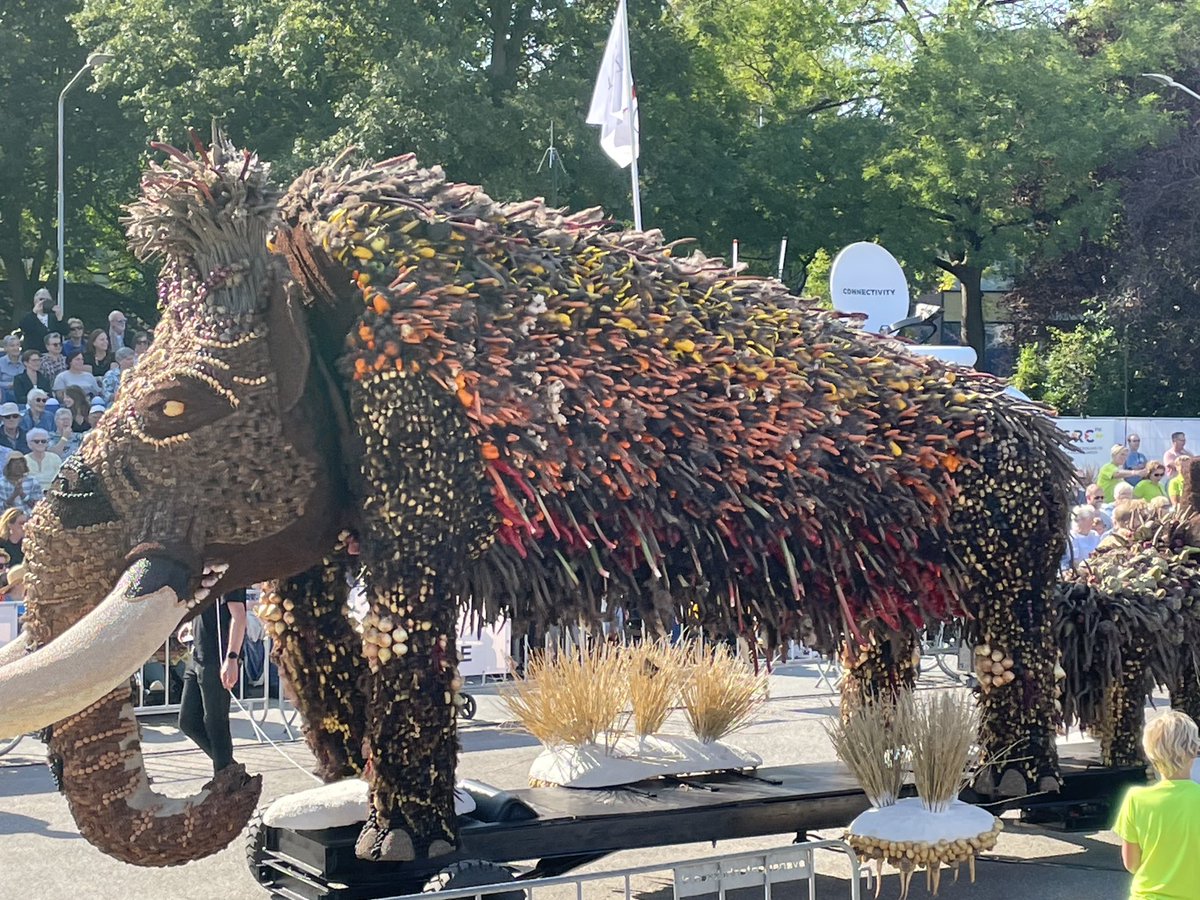 ⁦<a href="/fruitcorso/">Fruitcorso</a>⁩ in ⁦<a href="/gemTiel/">gemeente Tiel</a>⁩ kende vandaag maar liefst 20 schitterende praalwagens.Wat een mooi feest in Fruitstad aan de Waal.⁦<a href="/HartvanTiel/">Hart van Tiel</a>⁩