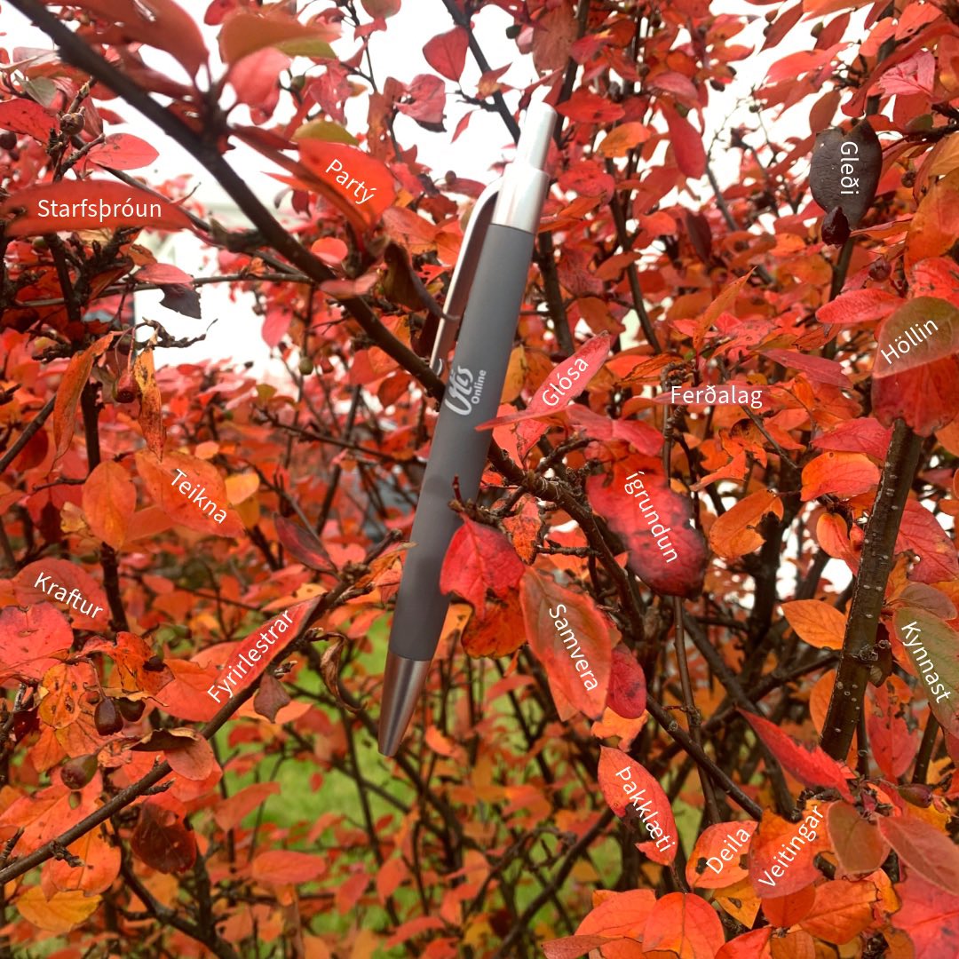 Steinbjorn tweet media