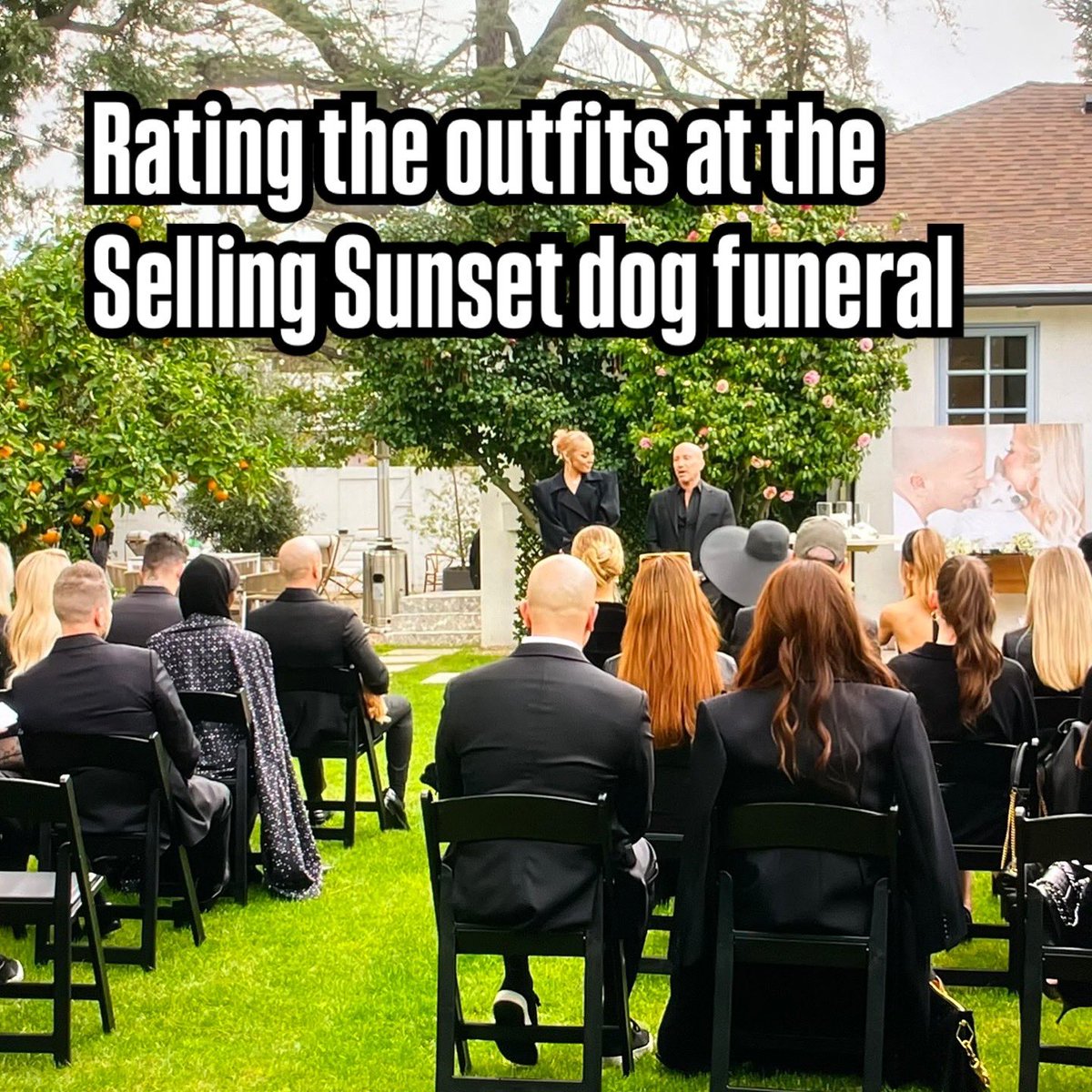 DeadPetGirls's tweet photo. Rating the outfits at the #SellingSunset dog funeral - a thread 🧵 (1/9) https://t.co/ZTpatbOyyX