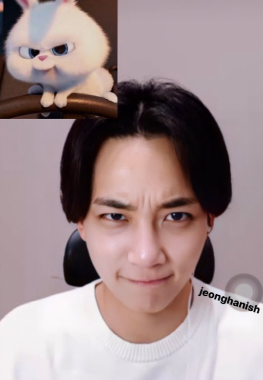 miffyjh_o's tweet photo. hes so bunny i need to take the biggest chomp out of him https://t.co/cRqIgQCRrC