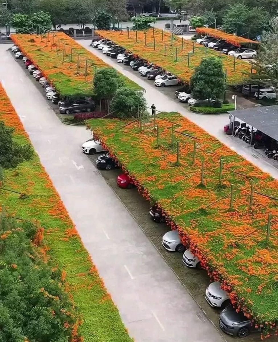 BrianRoemmele's tweet photo. Japan is installing floating gardens above many public parking lots. https://t.co/JFfy7OOrAE