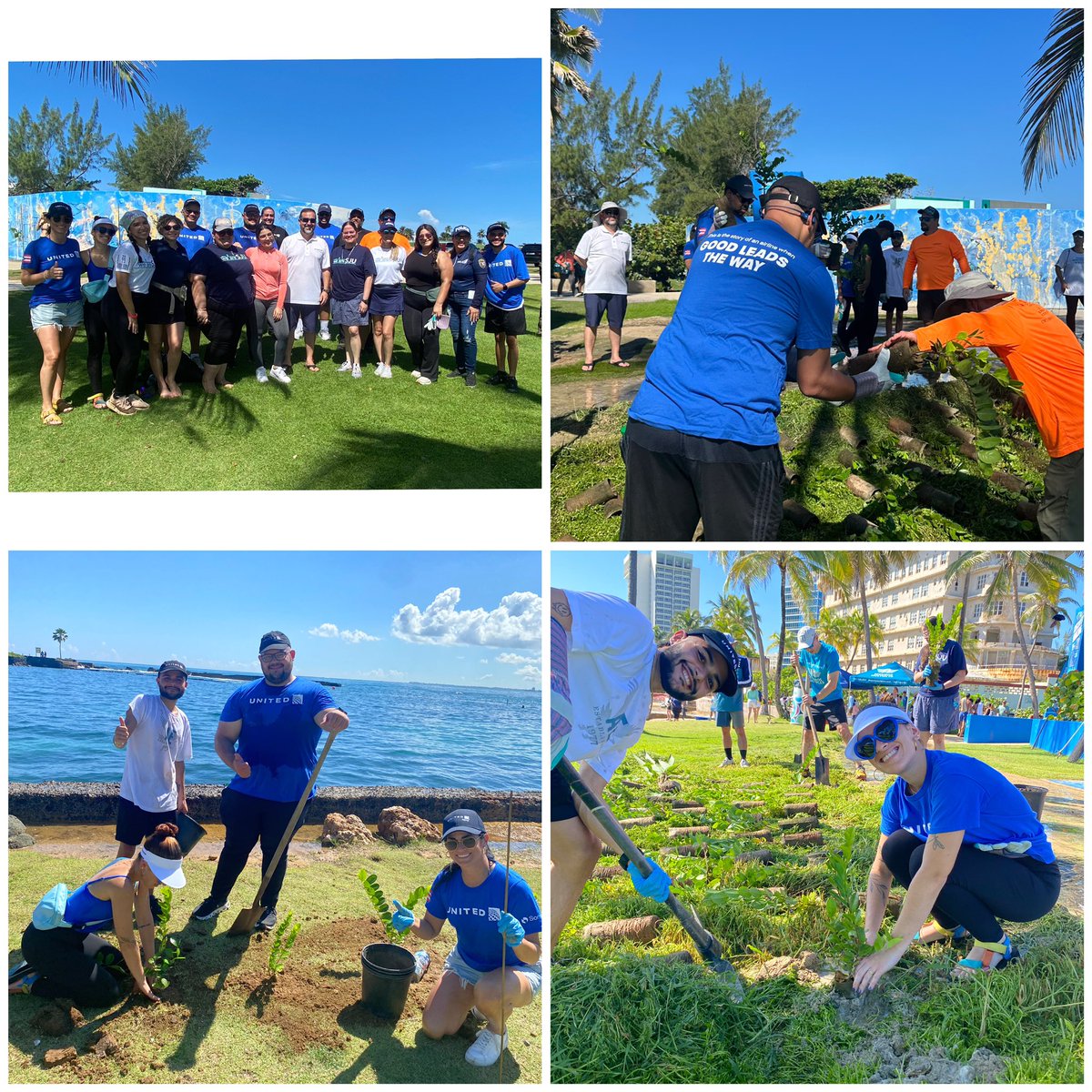 Mary Ann Frese tweet media