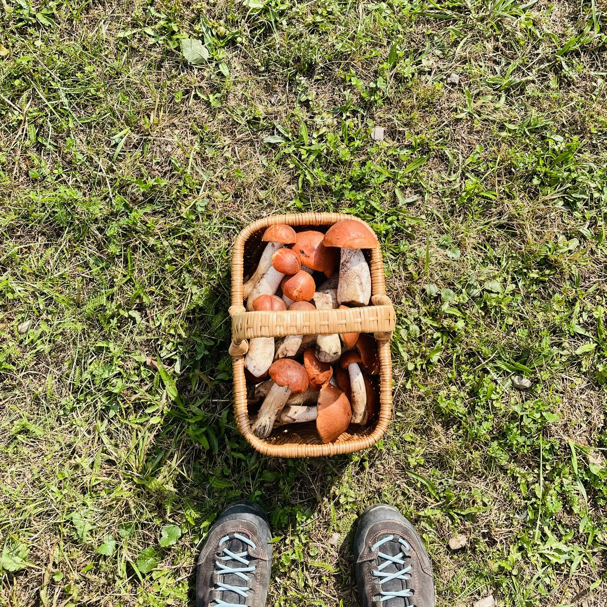 Talked to my therapist today.