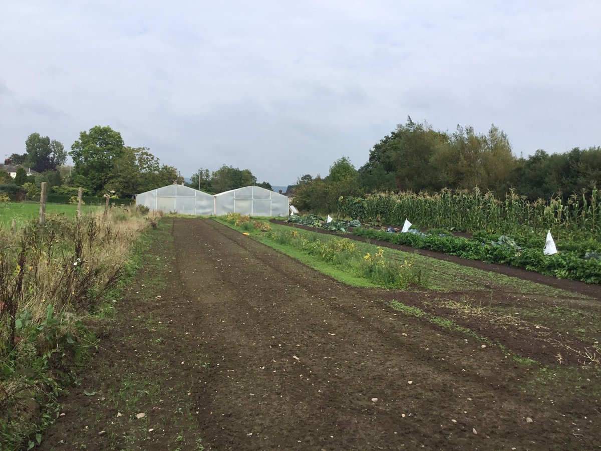 Fortunately we haven’t had too much rain - yet. 🤞