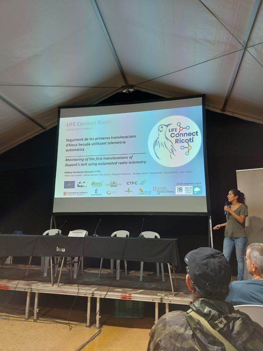 GBiC_CTF's tweet image. Avui estem al @DeltaBirdingF amb @HNavalpotro explicant els primers resultats sobre les translocacions d’alosa becuda (Chersophilus duponti) en el marc del @LRicoti   Utilizant telemetria automàtica #MOTUS i emissors de &amp;lt; 1gr per seguir aquesta espècie tan críptica.