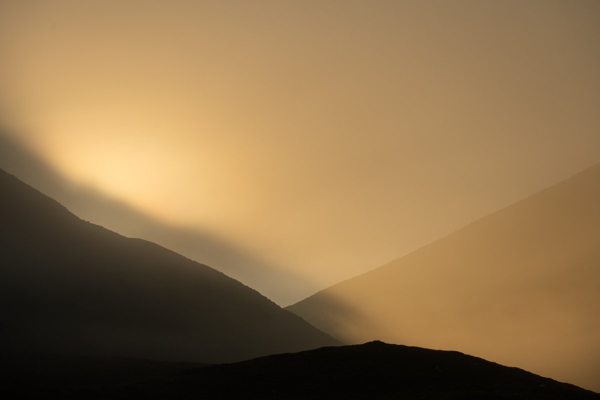 So.

Third version. 

First was the phone

Second the Q3

This is the full frame of the Z7 and 100-400 @ 100mm