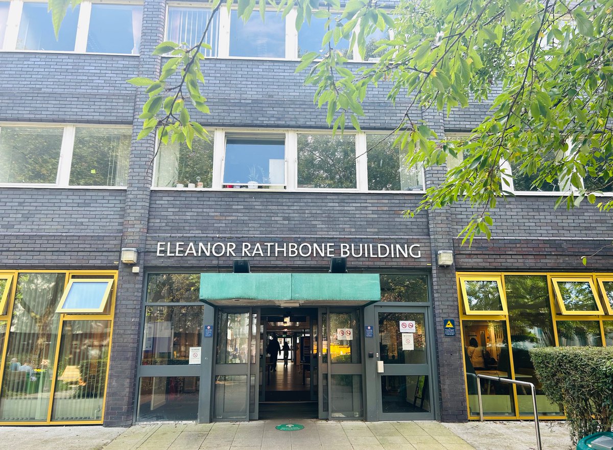 Daryl O’Connor tweet media