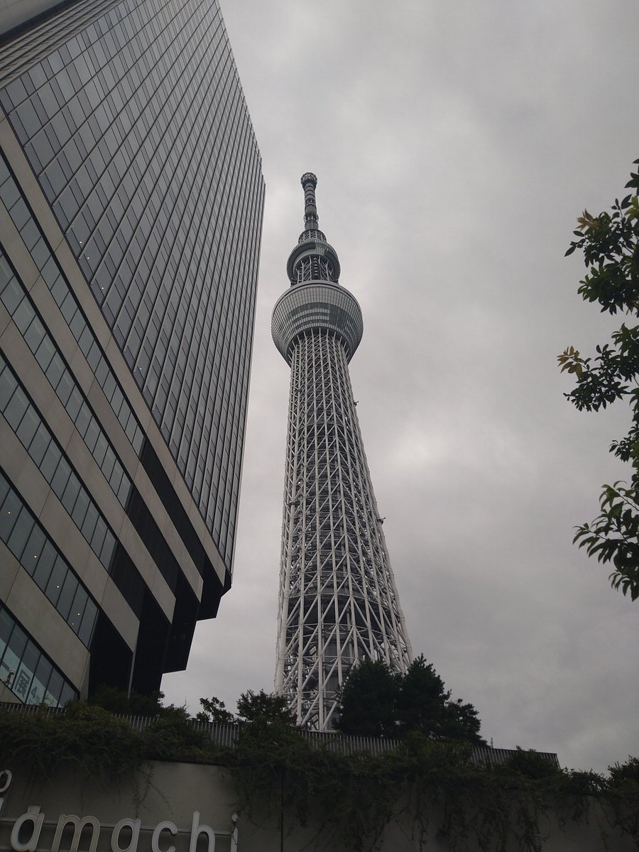 pataao48's tweet photo. 初めてなのですがスカイツリーに行ってきました！
天気も良く景色も良くとても良い経験をして来ました☺️ https://t.co/beadOAphve