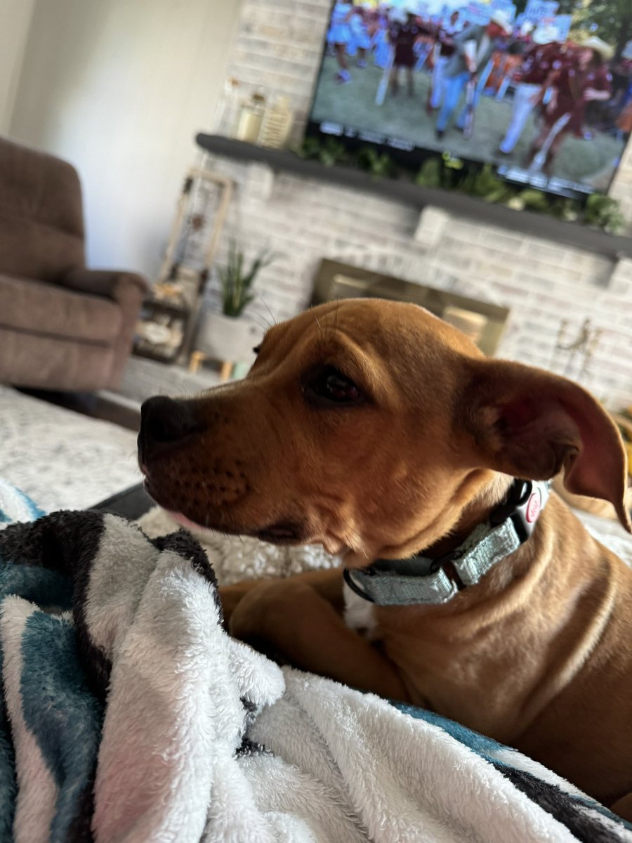 MikeFromDelran's tweet image. Meet the newest Philly sports fan in the family!  Meet Maxey from Delran! @TyreseMaxey