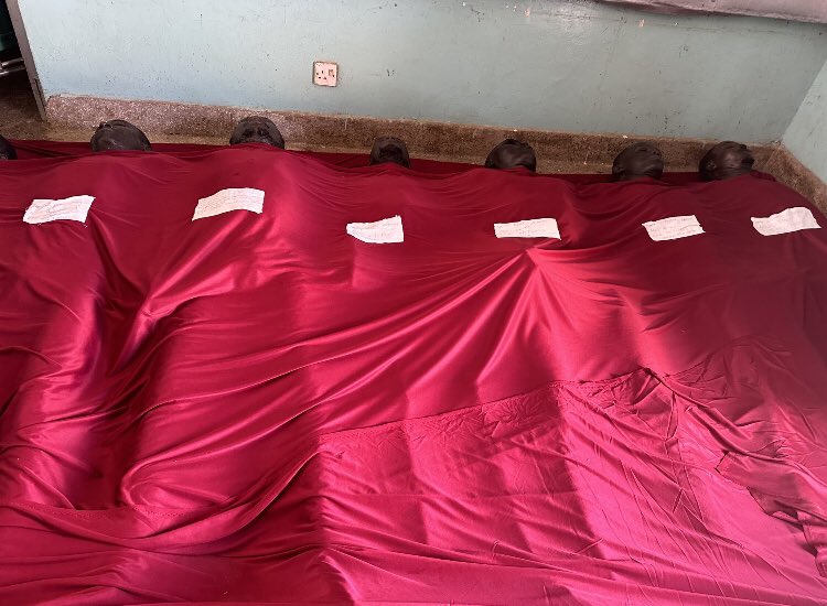 This was William Ruto in 2023, he killedd many youths who were supporting Raila Odinga.

No they're with Raila Odinga eating our taxes while our youths are in graves.

#BanRutoAtUNGA79