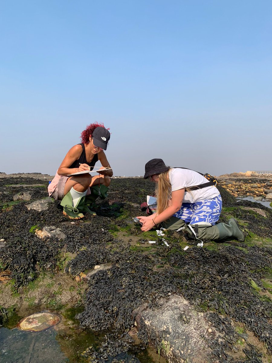 Ruby George (@rubygeorge_) on Twitter photo Having an incredible time in Portugal and Galicia visiting the most southern Fucoid resilience experiment sites and learning lots from the great team at <a href="/BEcologyCIIMAR/">Benthic Ecology Team CIIMAR</a> ! π± π
So grateful for funding from <a href="/TaithWales/">Taith</a> for making this trip possible ! Diolch yn fawr π΄σ §σ ’σ ·σ ¬σ ³σ Ώπ΅πΉπͺπΈ Having an incredible time in Portugal and Galicia visiting the most southern Fucoid resilience experiment sites and learning lots from the great team at <a href="/BEcologyCIIMAR/">Benthic Ecology Team CIIMAR</a> ! π± π
So grateful for funding from <a href="/TaithWales/">Taith</a> for making this trip possible ! Diolch yn fawr π΄σ §σ ’σ ·σ ¬σ ³σ Ώπ΅πΉπͺπΈ