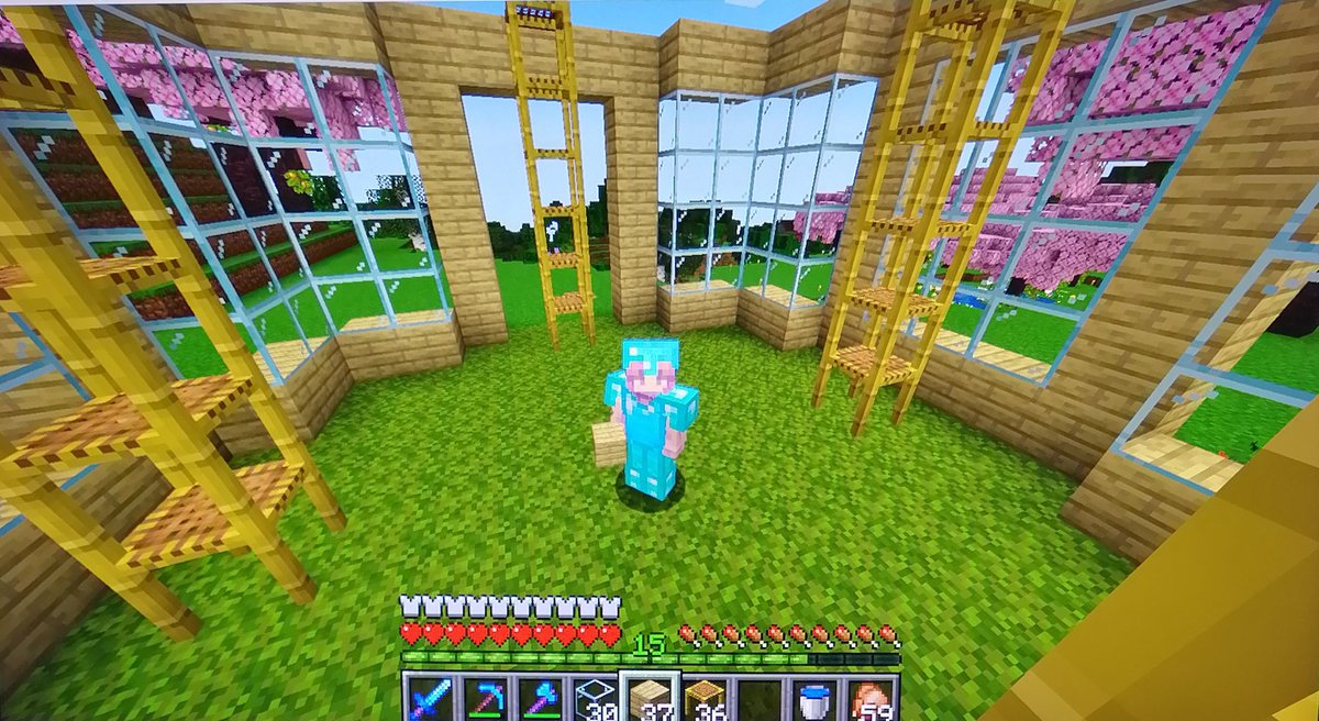 seabunny_7's tweet image. #CSMP
Aquí esta mi apiario terminado! Me gustó como quedo, y combina con mi casita, tuve suerte de encontrar abejas cerca a mis terrenos 🐝🌼