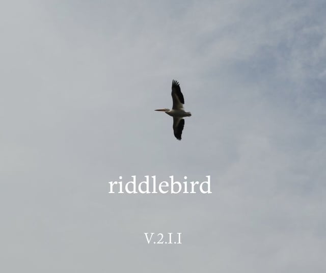 The Right Pitch by Lancelot Schaubert dlvr.it/TDWS7B