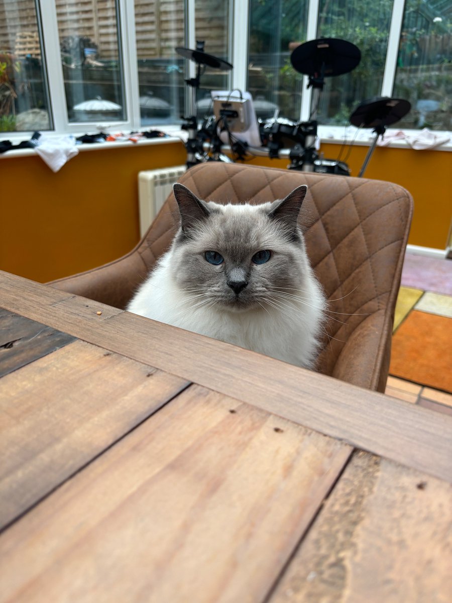 Zoe🌻🔬🧫🦠 tweet media