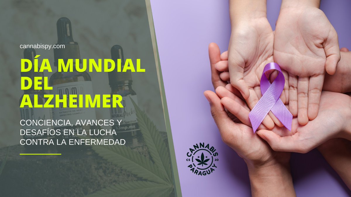 Jorge Jara tweet media