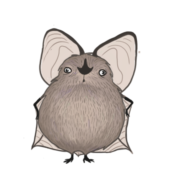 Mari Aas Fjelldal (@mariaasfjelldal) on Twitter photo New article out in Biology Letters <a href="/RSocPublishing/">Royal Society Publishing</a> about #bats supersizing in autumn by the use of some cool torpor patterns! 🦇
Thank you <a href="/wihurinrahasto/">Wihurin rahasto</a> for funding this research!
@thomaslilley77 <a href="/katimarie13/">Kati Suominen</a> <a href="/HiLIFE_helsinki/">HiLIFE_Helsinki</a> <a href="/luomus/">Luomus</a>
@BatLabFinland
royalsocietypublishing.org/action/oidcSta… New article out in Biology Letters <a href="/RSocPublishing/">Royal Society Publishing</a> about #bats supersizing in autumn by the use of some cool torpor patterns! 🦇
Thank you <a href="/wihurinrahasto/">Wihurin rahasto</a> for funding this research!
@thomaslilley77 <a href="/katimarie13/">Kati Suominen</a> <a href="/HiLIFE_helsinki/">HiLIFE_Helsinki</a> <a href="/luomus/">Luomus</a>
@BatLabFinland
royalsocietypublishing.org/action/oidcSta…
