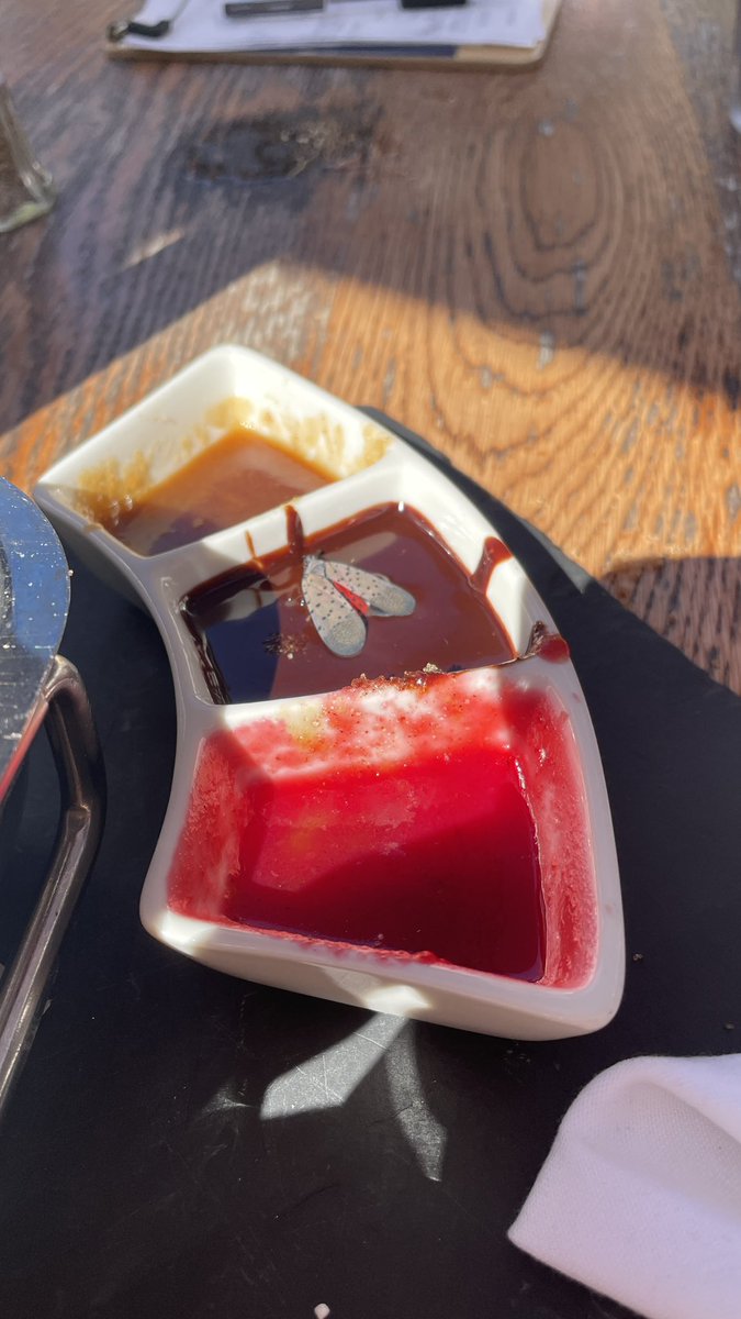 bsky: ranatalus@ddrextre.me tweet media